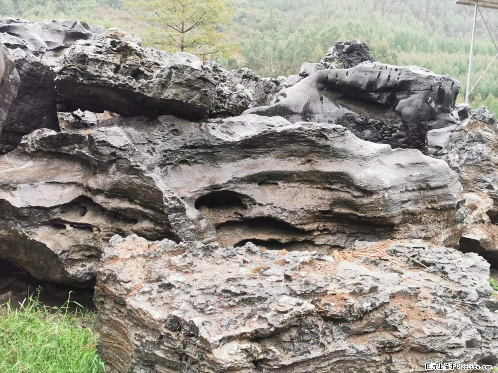 风景石、假山石大量有货，有需要的欢迎联系 - 新手上路 - 齐齐哈尔生活社区 - 齐齐哈尔28生活网 qqhr.28life.net