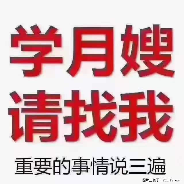 为什么要学习月嫂，育婴师？ - 其他广告 - 广告专区 - 齐齐哈尔分类信息 - 齐齐哈尔28生活网 qqhr.28life.net