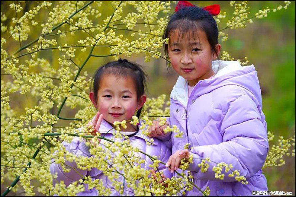 【春天,广西桂林灌阳县向您发出邀请!】米珠山前有片山苍子花在飘香 - 游山玩水 - 齐齐哈尔生活社区 - 齐齐哈尔28生活网 qqhr.28life.net