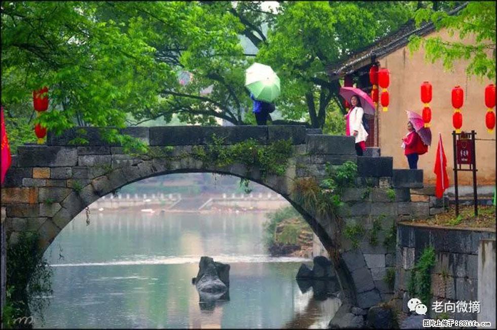 【春天,广西桂林灌阳县向您发出邀请!】江口老街又逢春 - 游山玩水 - 齐齐哈尔生活社区 - 齐齐哈尔28生活网 qqhr.28life.net