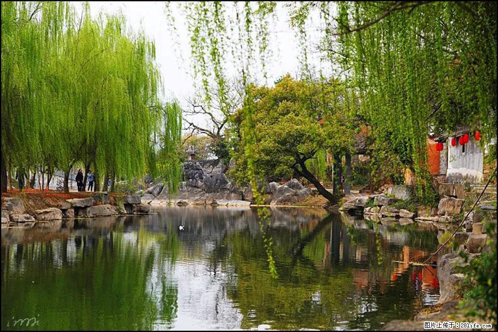 【春天,广西桂林灌阳县向您发出邀请!】江口老街又逢春 - 游山玩水 - 齐齐哈尔生活社区 - 齐齐哈尔28生活网 qqhr.28life.net