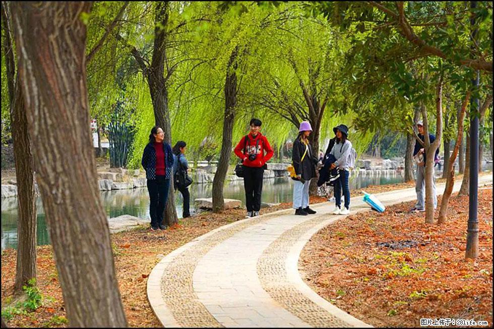 【春天,广西桂林灌阳县向您发出邀请!】江口老街又逢春 - 游山玩水 - 齐齐哈尔生活社区 - 齐齐哈尔28生活网 qqhr.28life.net