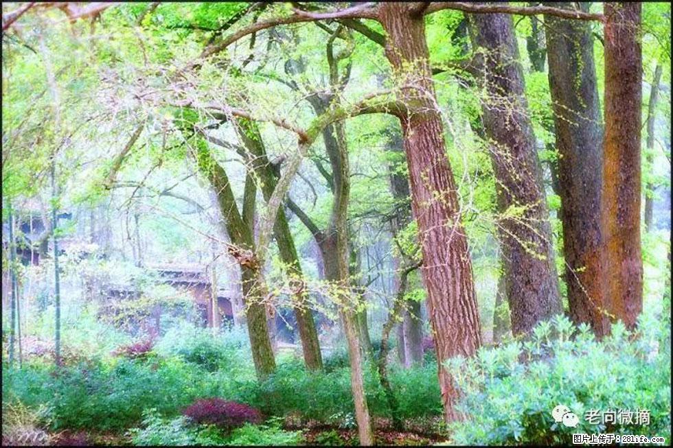 【春天，广西桂林灌阳县向您发出邀请！】在小龙村与春天约会 - 游山玩水 - 齐齐哈尔生活社区 - 齐齐哈尔28生活网 qqhr.28life.net