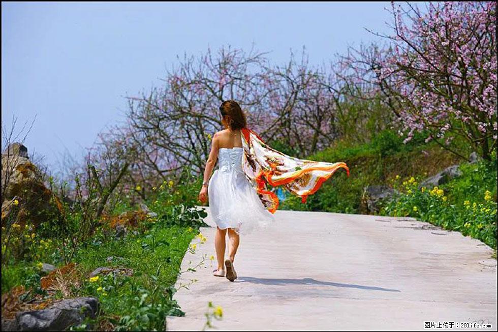 【春天，广西桂林灌阳县向您发出邀请！】望月岭上桃花开 - 游山玩水 - 齐齐哈尔生活社区 - 齐齐哈尔28生活网 qqhr.28life.net