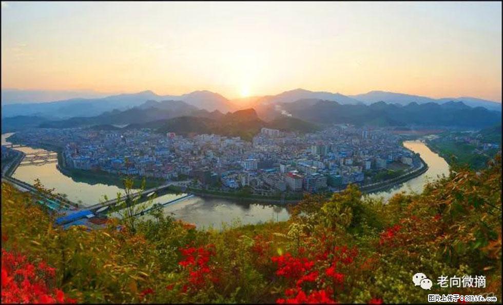 【春天，广西桂林灌阳县向您发出邀请！】登麒麟山，相约映山红 - 游山玩水 - 齐齐哈尔生活社区 - 齐齐哈尔28生活网 qqhr.28life.net