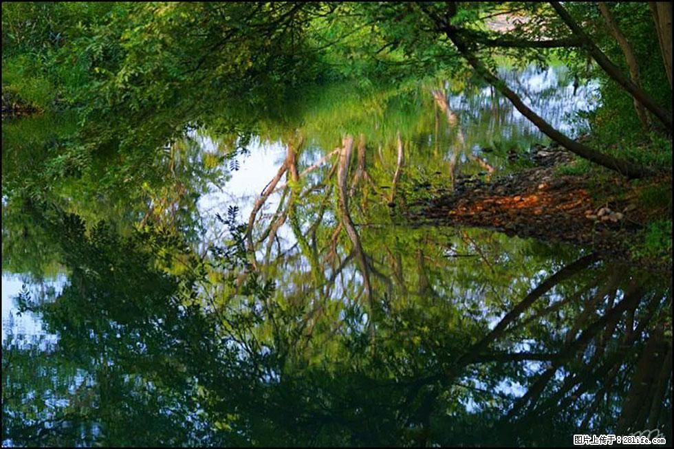 【春天，广西桂林灌阳县向您发出邀请！】熊家寨湿地公园 - 游山玩水 - 齐齐哈尔生活社区 - 齐齐哈尔28生活网 qqhr.28life.net