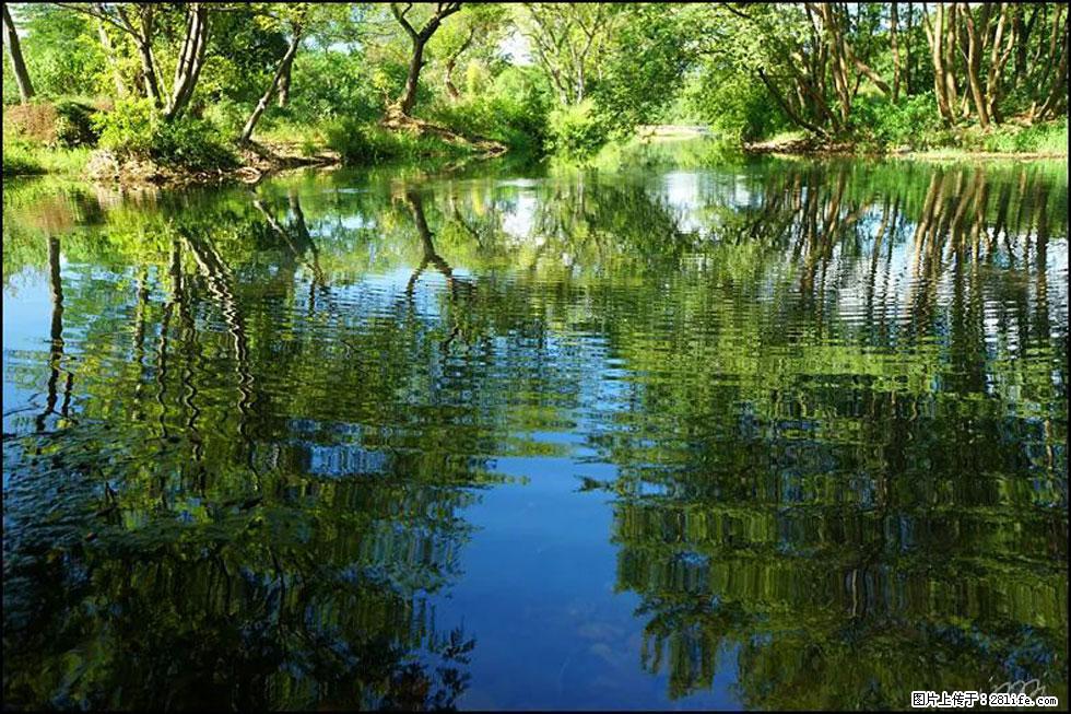 【春天，广西桂林灌阳县向您发出邀请！】熊家寨湿地公园 - 游山玩水 - 齐齐哈尔生活社区 - 齐齐哈尔28生活网 qqhr.28life.net