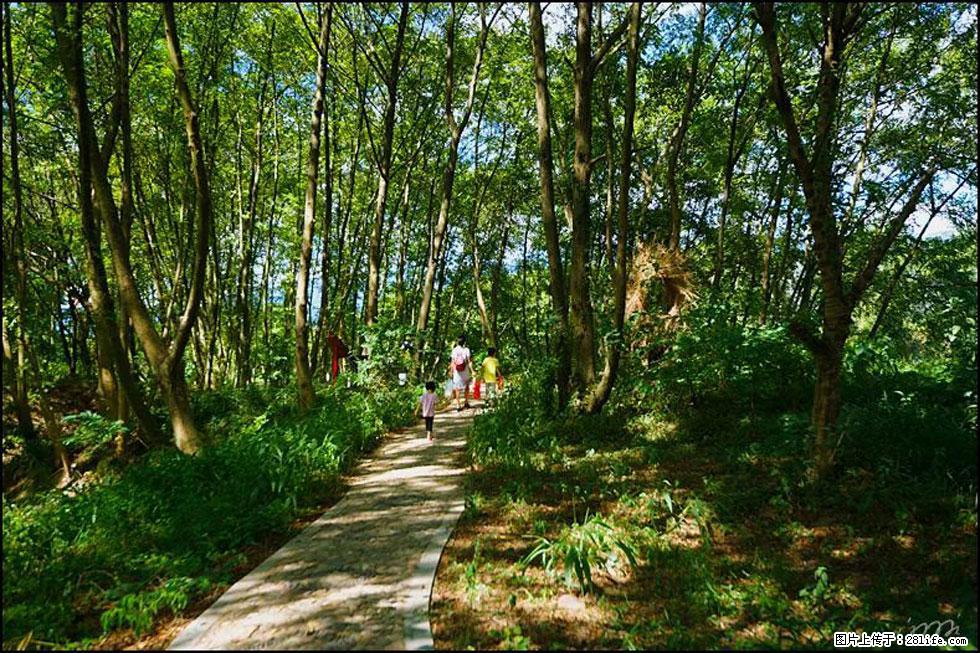 【春天，广西桂林灌阳县向您发出邀请！】熊家寨湿地公园 - 游山玩水 - 齐齐哈尔生活社区 - 齐齐哈尔28生活网 qqhr.28life.net