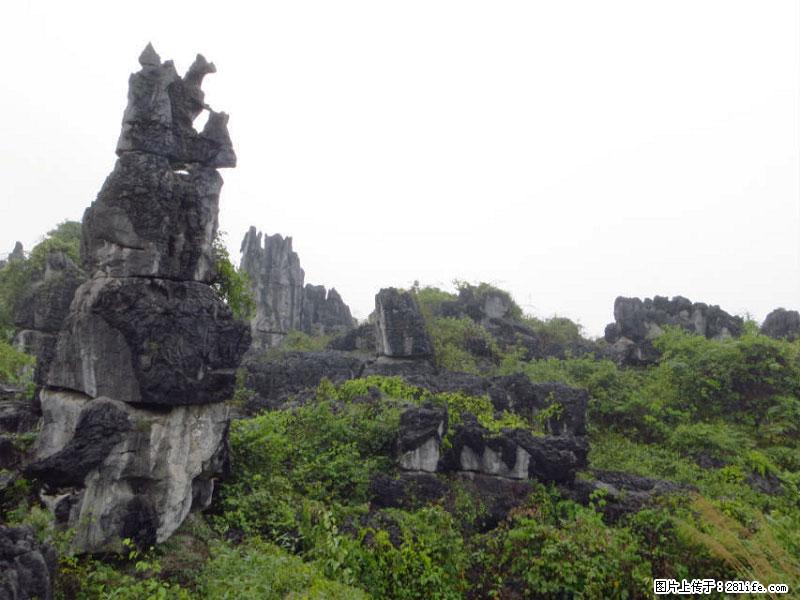 桂林旅游名城景点：灌阳文市石林 - 游山玩水 - 齐齐哈尔生活社区 - 齐齐哈尔28生活网 qqhr.28life.net