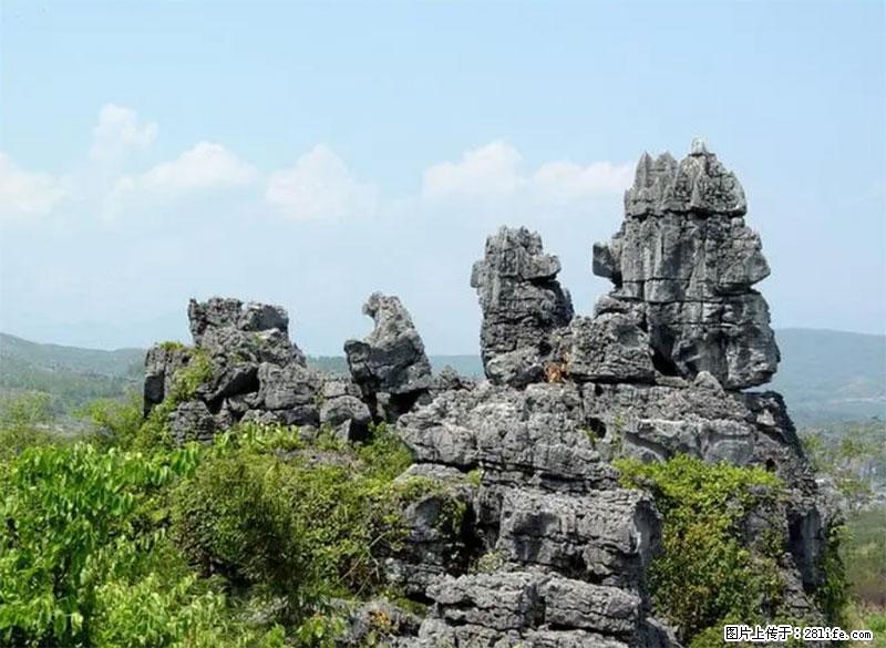 桂林旅游名城景点：灌阳文市石林 - 游山玩水 - 齐齐哈尔生活社区 - 齐齐哈尔28生活网 qqhr.28life.net
