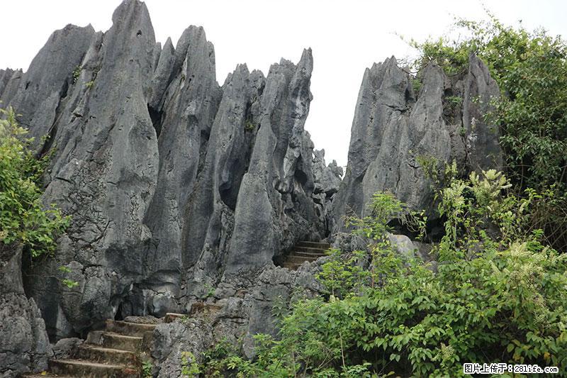 桂林旅游名城景点：灌阳文市石林 - 游山玩水 - 齐齐哈尔生活社区 - 齐齐哈尔28生活网 qqhr.28life.net