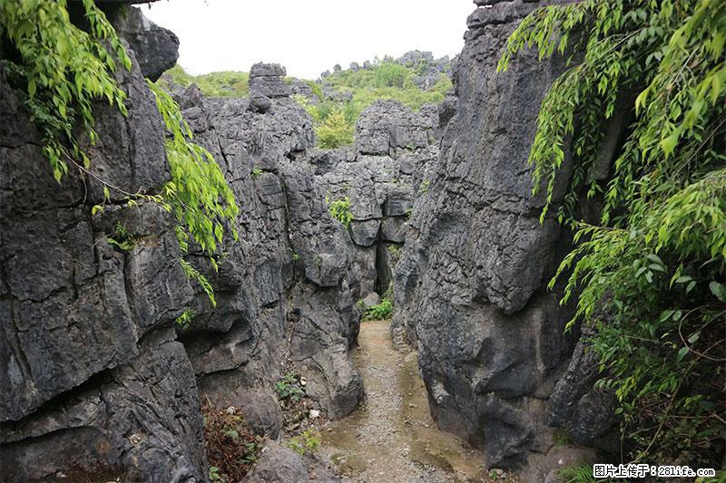 桂林旅游名城景点：灌阳文市石林 - 游山玩水 - 齐齐哈尔生活社区 - 齐齐哈尔28生活网 qqhr.28life.net