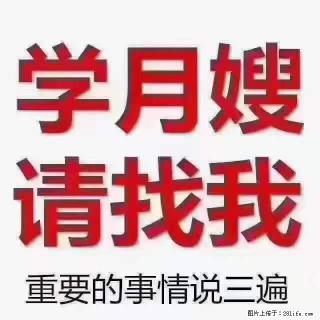 为什么要学习月嫂，育婴师？ - 齐齐哈尔28生活网 qqhr.28life.net