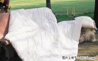 被子有异味？只要这样做，比晒太阳还强100倍！ - 家居生活 - 齐齐哈尔生活社区 - 齐齐哈尔28生活网 qqhr.28life.net