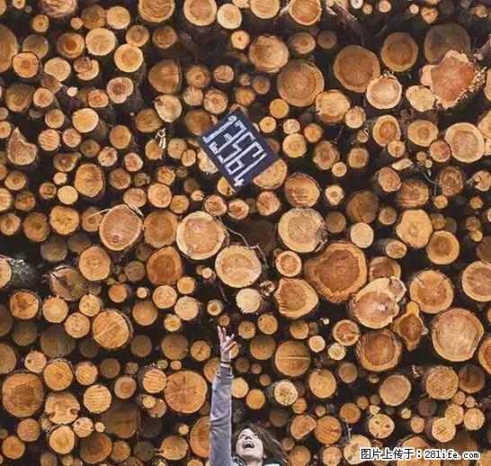 辞掉工作周游世界？现在他们在洗厕所…… - 游山玩水 - 齐齐哈尔生活社区 - 齐齐哈尔28生活网 qqhr.28life.net