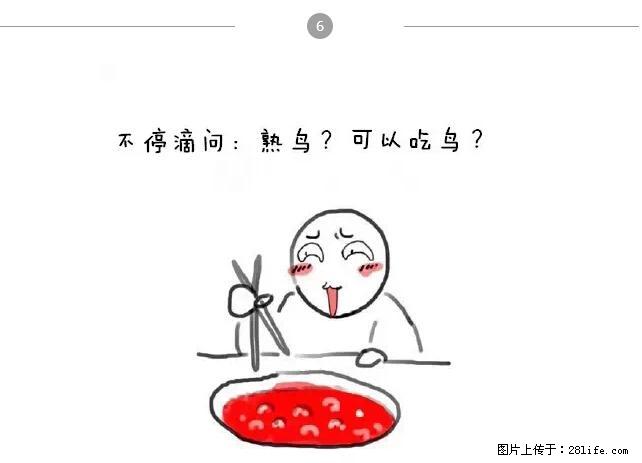 千万不要和这9种哈卵一起吃火锅！ - 美食天地 - 齐齐哈尔生活社区 - 齐齐哈尔28生活网 qqhr.28life.net