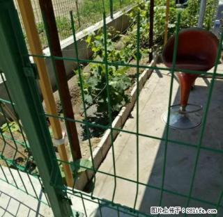 远诚地产南铁道谊联名居一楼南北通透带小院商用居住均可 - 齐齐哈尔28生活网 qqhr.28life.net
