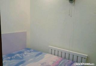 (单间出租)龙沙小区 4室1厅4卫 男女不限 - 齐齐哈尔28生活网 qqhr.28life.net