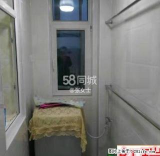 红瑞地产滨江国际温馨一居室精装修图片真实屋子嘎嘎板正拎包即住 - 齐齐哈尔28生活网 qqhr.28life.net