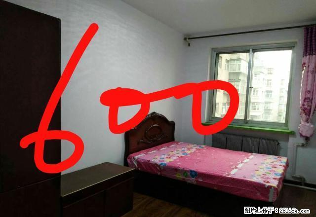 (单间出租)龙沙小区 3室1厅1卫 男女不限 - 房屋出租 - 房屋租售 - 齐齐哈尔分类信息 - 齐齐哈尔28生活网 qqhr.28life.net