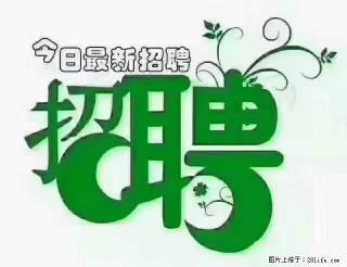 【招聘摄像师】待遇：试用期6000元/月，转正7000元/月+五险一金+餐补+节日福利+奖金 - 齐齐哈尔28生活网 qqhr.28life.net