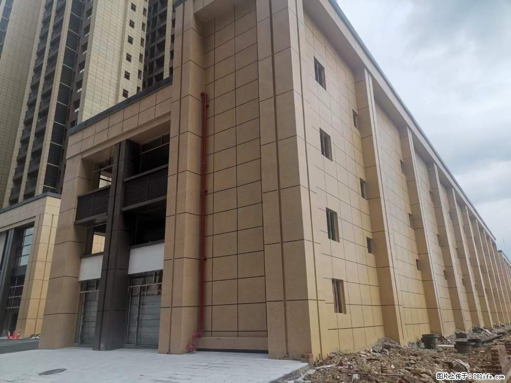 【广西三象建筑安装工程有限公司】外墙涂料工程 - 新手上路 - 齐齐哈尔生活社区 - 齐齐哈尔28生活网 qqhr.28life.net