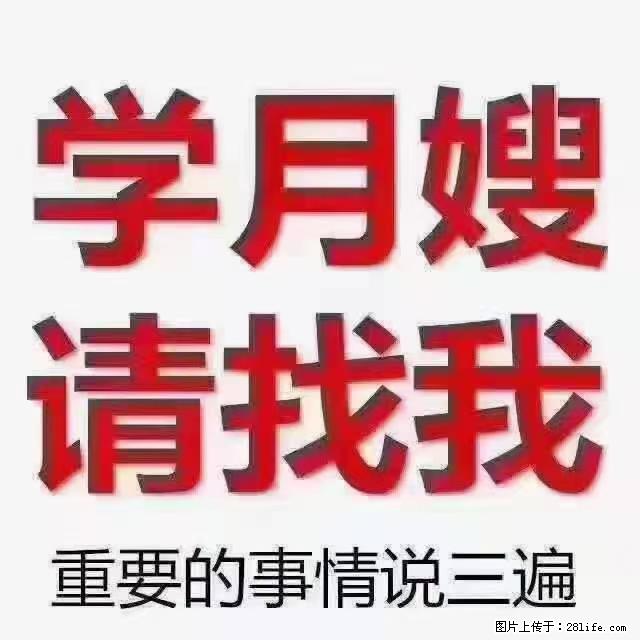 【招聘】月嫂，上海徐汇区 - 职场交流 - 齐齐哈尔生活社区 - 齐齐哈尔28生活网 qqhr.28life.net