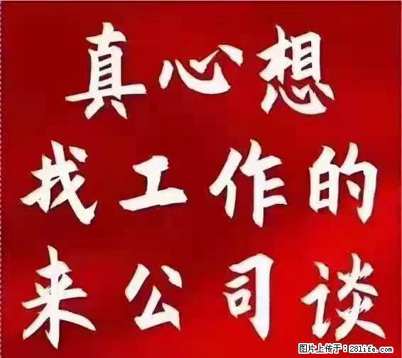 【上海】国企，医院招两名男保安，55岁以下，身高1.7米以上，无犯罪记录不良嗜好 - 职场交流 - 齐齐哈尔生活社区 - 齐齐哈尔28生活网 qqhr.28life.net