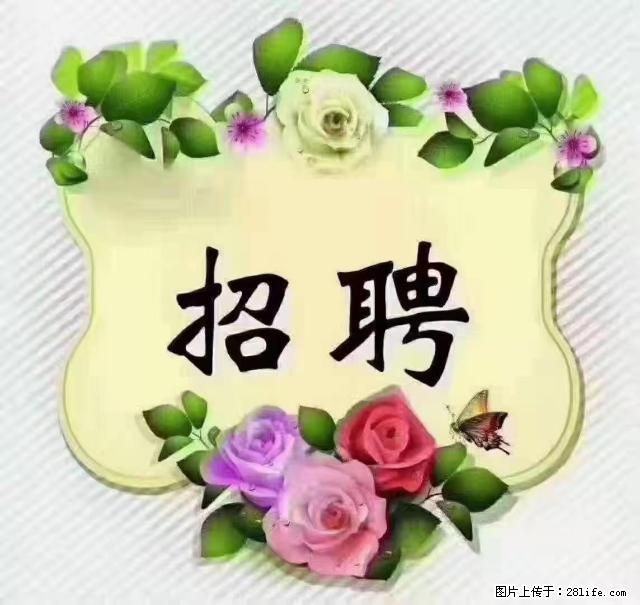 【招聘】住家育儿嫂，上户日期：4月4日，工作地址：上海 黄浦区 - 职场交流 - 齐齐哈尔生活社区 - 齐齐哈尔28生活网 qqhr.28life.net