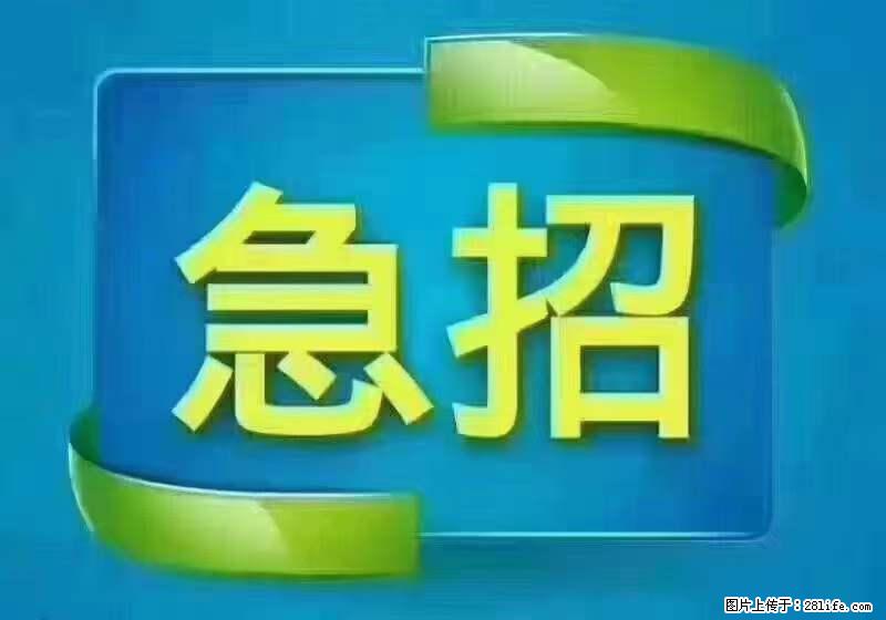 招出纳8000元/月，无证可以，要有相关经验，上海五险一金，包住，包工作餐，做六休一。 - 职场交流 - 齐齐哈尔生活社区 - 齐齐哈尔28生活网 qqhr.28life.net