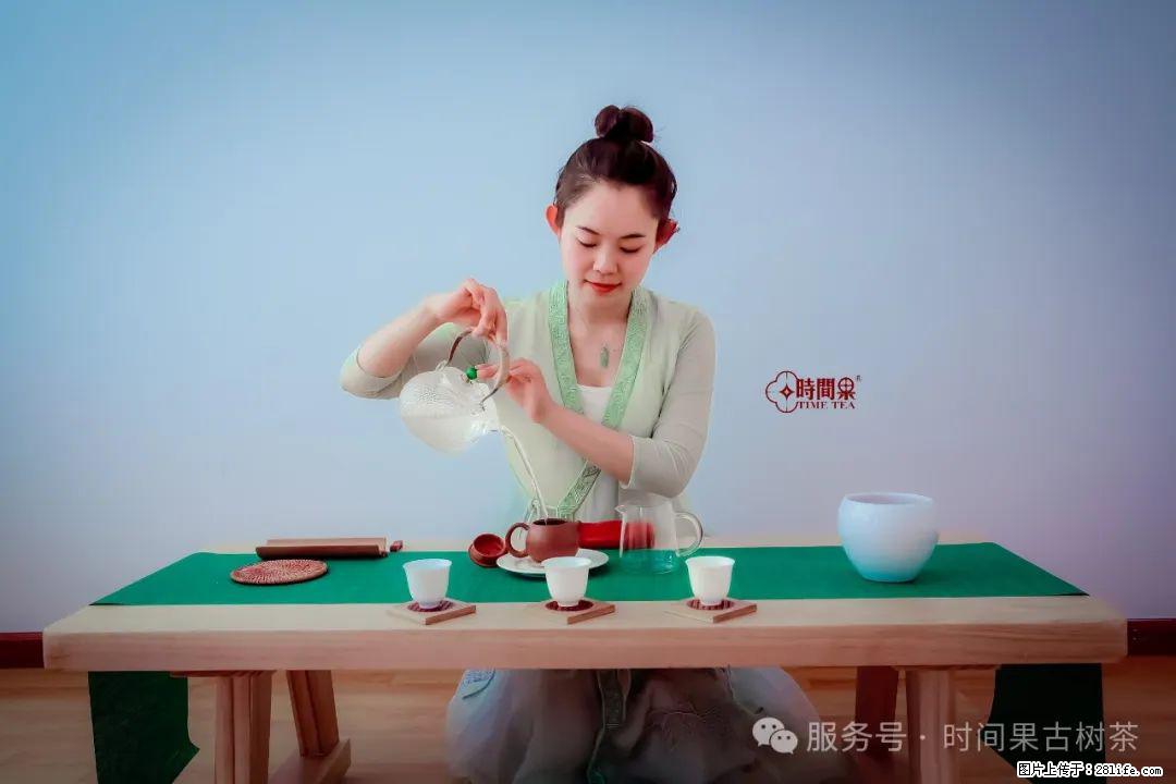 时间果百年古树龙珠普洱生茶 - 购物交流 - 齐齐哈尔生活社区 - 齐齐哈尔28生活网 qqhr.28life.net