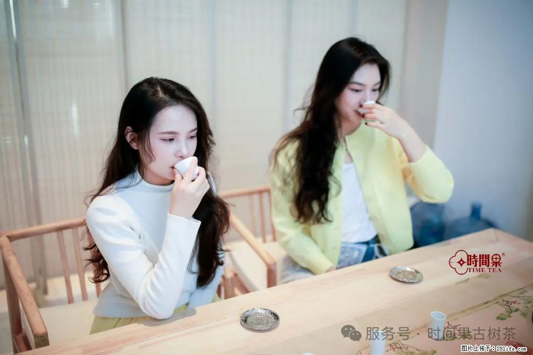 时间果百年古树龙珠普洱生茶 - 购物交流 - 齐齐哈尔生活社区 - 齐齐哈尔28生活网 qqhr.28life.net