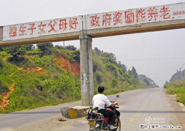 全面两孩政策计划明年元旦起实施 夫妻可延长生育假 - 齐齐哈尔生活资讯 - 齐齐哈尔28生活网 qqhr.28life.net