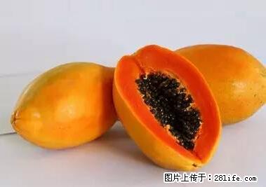 晕车、脚气、牙齿变黄、皮肤粗糙？学会这些三分钟搞定！ - 齐齐哈尔生活资讯 - 齐齐哈尔28生活网 qqhr.28life.net
