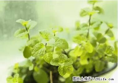 晕车、脚气、牙齿变黄、皮肤粗糙？学会这些三分钟搞定！ - 齐齐哈尔生活资讯 - 齐齐哈尔28生活网 qqhr.28life.net