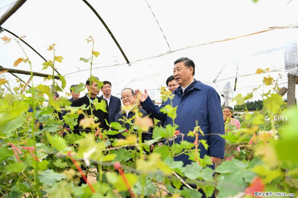 习近平赴广西考察调研 - 齐齐哈尔生活资讯 - 齐齐哈尔28生活网 qqhr.28life.net