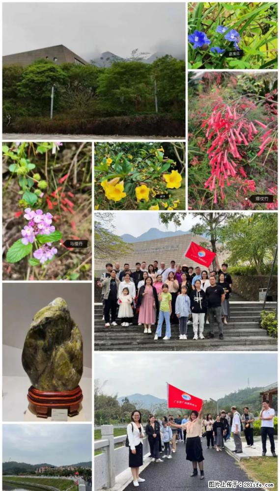 “粤灌文化 美好生活”油茶文化主题活动在广东深圳成功举办 - 齐齐哈尔生活资讯 - 齐齐哈尔28生活网 qqhr.28life.net
