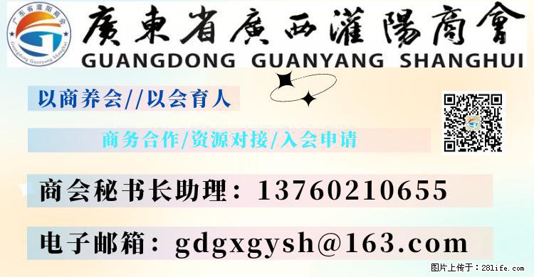 “粤灌文化 美好生活”油茶文化主题活动在广东深圳成功举办 - 齐齐哈尔生活资讯 - 齐齐哈尔28生活网 qqhr.28life.net