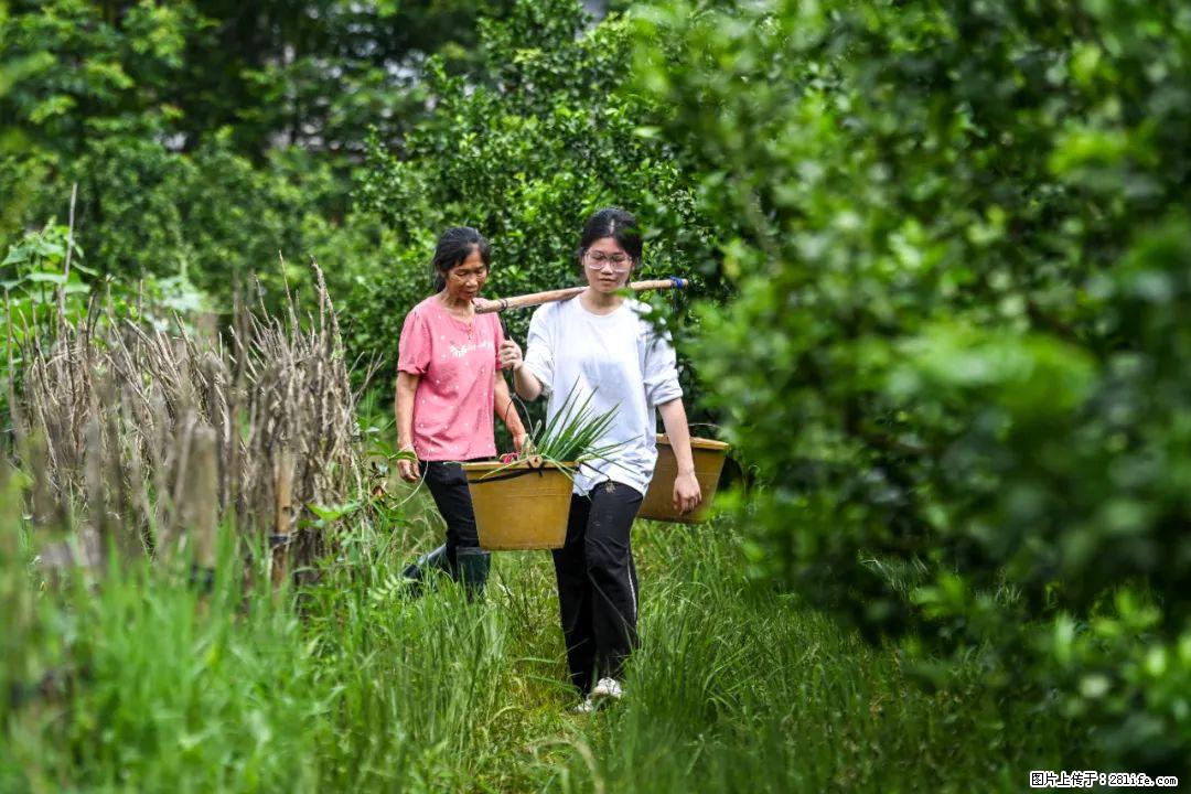 全网追的“扁担女孩”，找了一份暑假工，时薪12元 - 齐齐哈尔生活资讯 - 齐齐哈尔28生活网 qqhr.28life.net