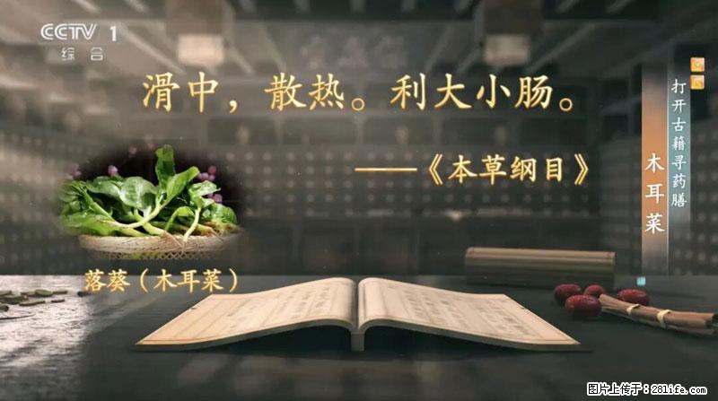 比牛奶补钙还厉害！凉血解毒、稳血糖...这菜冬天必吃，很多人却当草 - 齐齐哈尔生活资讯 - 齐齐哈尔28生活网 qqhr.28life.net