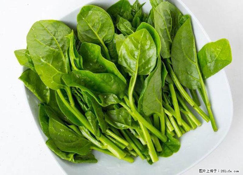 这些蔬菜是“天然钙片”，这6种被医生重点推荐 - 齐齐哈尔生活资讯 - 齐齐哈尔28生活网 qqhr.28life.net