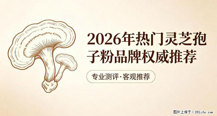 灵芝孢子粉含量越高越有效？2026 年七款热门品牌深度实测，肠胃敏感者避坑指南 - 齐齐哈尔生活资讯 - 齐齐哈尔28生活网 qqhr.28life.net