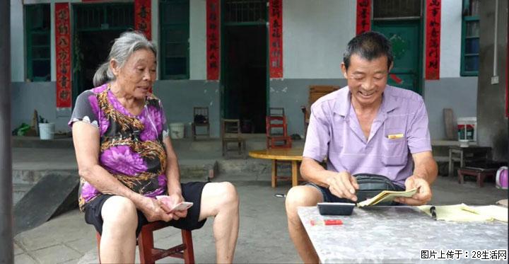 【乡村振兴】文市蜂糖李、黄金奈李迎丰产上市季 甜蜜产业助振兴 - 齐齐哈尔生活资讯 - 齐齐哈尔28生活网 qqhr.28life.net
